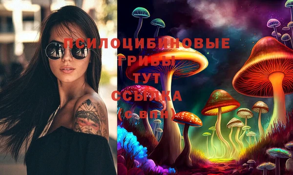 а пвп мука Мегион