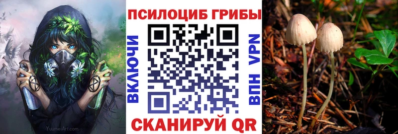 Галлюциногенные грибы Psilocybe Белорецк