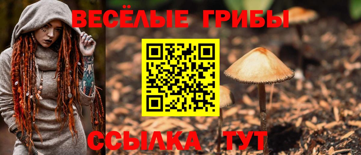 Белорецк  Галлюциногенные грибы Psilocybe  Галлюциногенные грибы MAGIC MUSHROOMS  Вход с VPN 