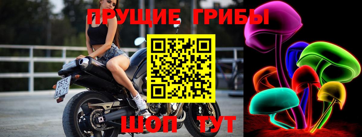 Псилоцибиновые грибы Psilocybine cubensis  Галлюциногенные грибы Psilocybine cubensis  Белорецк 